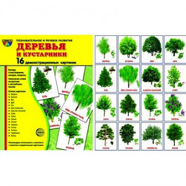 Деревья и кустарники.16 демонстрационных картинок с текстом 