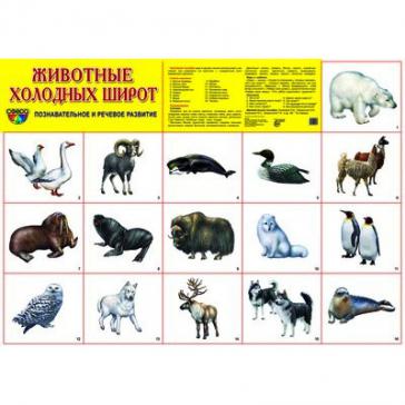 Демонстрационный плакат Животные холодных широт, А-2