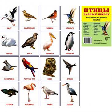 Птицы разных широт.16 раздаточных карточек с текстом