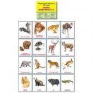 Дикие животные (2). 16 раздаточных карточек