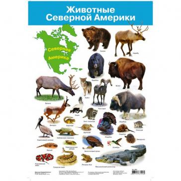 Плакат. Животные Северной Америки  2881