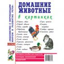 Домашние животные в картинках