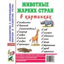Животные жарких стран в картинках